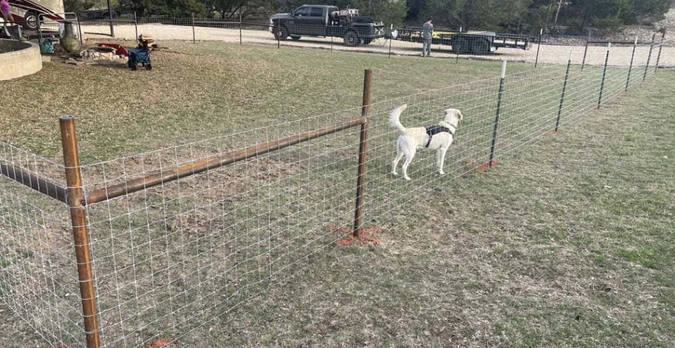 Metal Fencing 2 Metal Fencing 2